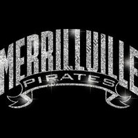 GLT37 SILVER GLITTER Thumbnail