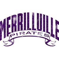 GLT37 PURPLE GLITTER Thumbnail